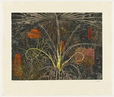 Title: Fan Palm - Dhalpi | Date: 2010 | Technique: etching, printed in colour, from six plates