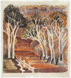 Artist: b'PRESTON, Margaret' | Title: b'The red road to Mulgoa.' | Date: 1944 | Technique: b'woodcut, printed in colour, from one masonite block' | Copyright: b'\xc2\xa9 Margaret Preston. Licensed by VISCOPY, Australia'