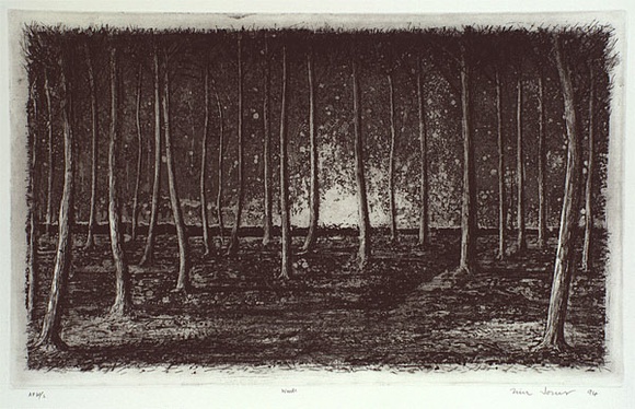 Artist: b'Jones, Tim.' | Title: b'Woods' | Date: 1994, April - May | Technique: b'etching and aquatint, printed in black ink, from one plate'
