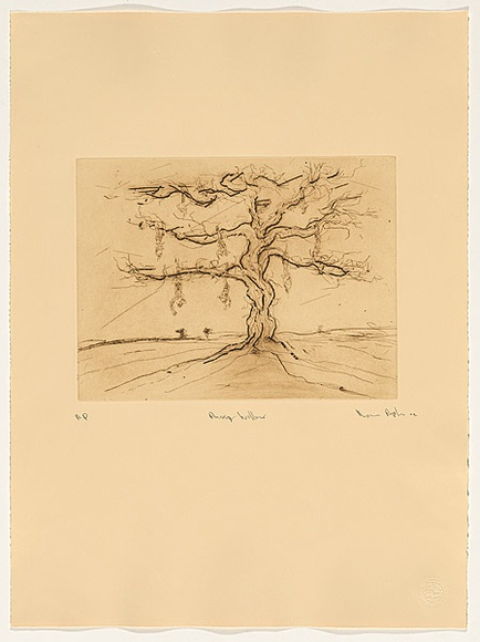 Artist: b'Pople, Rodney.' | Title: b'Pussy willow' | Date: 2002 | Technique: b'etching, printed in brown ink with plate-tone, from one plate'