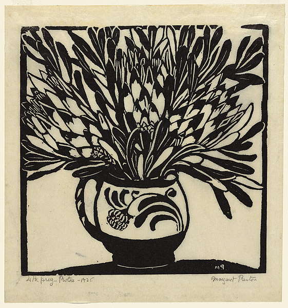 Protea (1925) by Margaret Preston (1875–1963) · Australian Prints ...