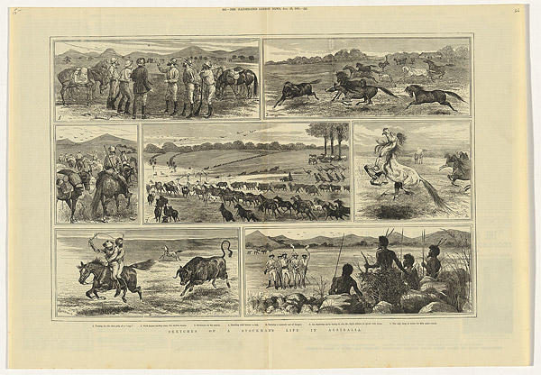 Sketches of a stockman's life in Australia. Comprises [7] individual ...